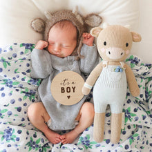 Load image into Gallery viewer, Asher the cow