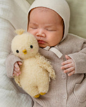 Load image into Gallery viewer, Baby bouclé chick (buttercup)