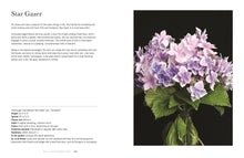 Load image into Gallery viewer, Hydrangeas: Beautiful Varieties For Home & Garden