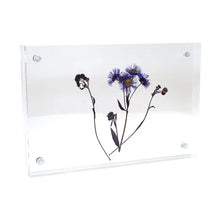 Load image into Gallery viewer, Acrylic Standing Frame 4" x 6"