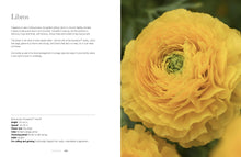 Load image into Gallery viewer, Ranunculus: Beautiful Varieties For Home and Garden