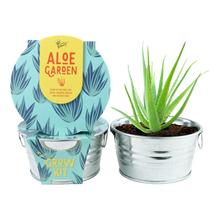 Load image into Gallery viewer, Mini Basin Grow Kit -Aloe
