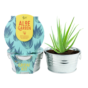 Mini Basin Grow Kit -Aloe