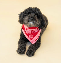 Load image into Gallery viewer, Happiness Bandana -Bliss