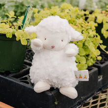 Load image into Gallery viewer, Wee Kiddo the Lamb
