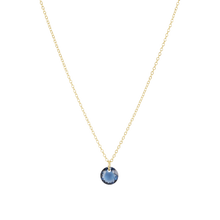 Load image into Gallery viewer, enewton 16" Necklace Gold -Reflection Small Charm