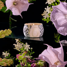 Load image into Gallery viewer, Voluspa Jasmine Midnight Blooms