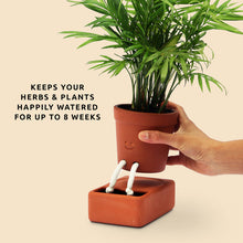 Load image into Gallery viewer, Self Care Planter