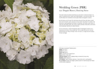 Load image into Gallery viewer, Hydrangeas: Beautiful Varieties For Home & Garden
