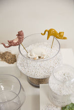 Load image into Gallery viewer, Plant Sticks -Curious Cats