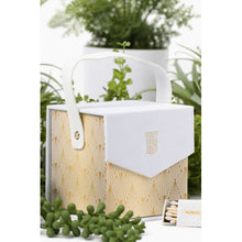 Load image into Gallery viewer, Thomas Blonde Blonde