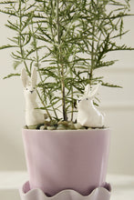 Load image into Gallery viewer, Thumper Plant Stick