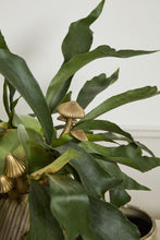 Load image into Gallery viewer, Troop Mushroom Plant Stick
