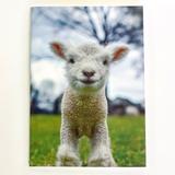 Load image into Gallery viewer, 1818 Farms Journal -Lamb