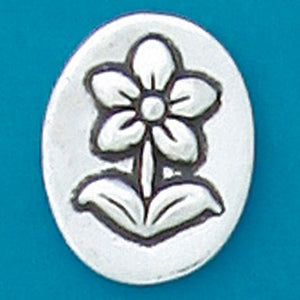Pewter Coins