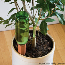 Load image into Gallery viewer, Recycle a Wine Bottle Plant Nanny
