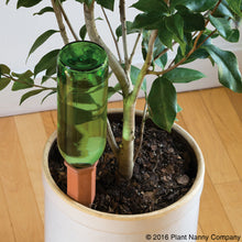 Load image into Gallery viewer, Recycle a Wine Bottle Plant Nanny