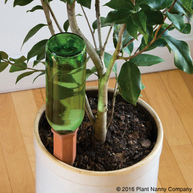 Recycle a Wine Bottle Plant Nanny – Mint Juleps Shop