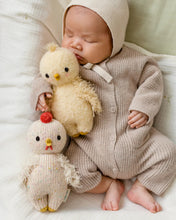 Load image into Gallery viewer, Baby chicken
