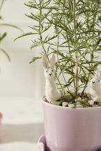 Load image into Gallery viewer, Thumper Plant Stick
