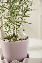 Load image into Gallery viewer, Thumper Plant Stick
