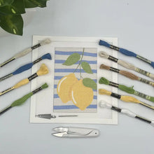 Load image into Gallery viewer, Blue Poppy Needlepoint Kit -Two Lemons on Blue Stripes 4" x 6"
