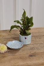 Load image into Gallery viewer, Ladybug Pot &amp; Saucer
