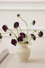 Load image into Gallery viewer, Flounce Vase
