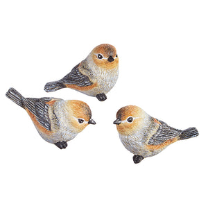 Terra Firma Bird