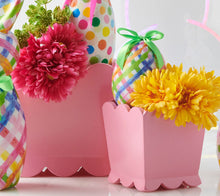 Load image into Gallery viewer, Bubblegum Scalloped Planter
