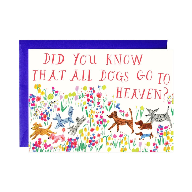 Mr. B Pet Sympathy Card -Dogs Go to Heaven