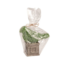 Load image into Gallery viewer, Topiary Candle
