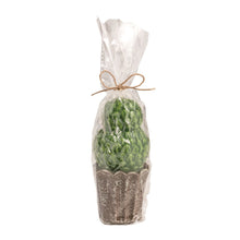 Load image into Gallery viewer, Topiary Candle
