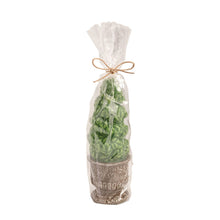 Load image into Gallery viewer, Topiary Candle
