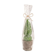 Load image into Gallery viewer, Topiary Candle
