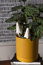 Load image into Gallery viewer, Casper Plant Stick
