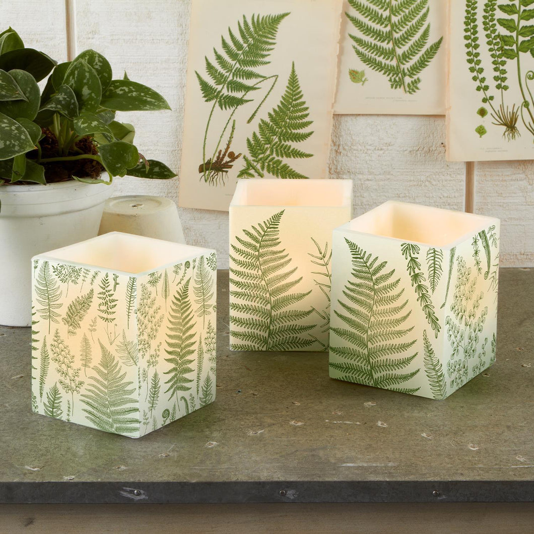 Fern Citronella Lantern Candle