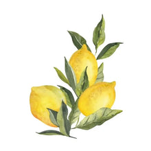 Load image into Gallery viewer, MH Acrylic Napkin Weight -Lemons
