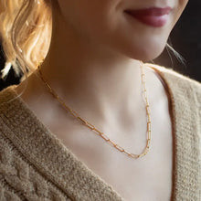 Load image into Gallery viewer, L&amp;E Gilded Paperclip Necklace
