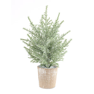 12" Potted Icy Pine Tree