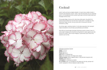 Load image into Gallery viewer, Hydrangeas: Beautiful Varieties For Home &amp; Garden
