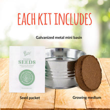 Load image into Gallery viewer, Mini Basin Grow Kit -Cactus
