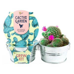 Mini Basin Grow Kit -Cactus