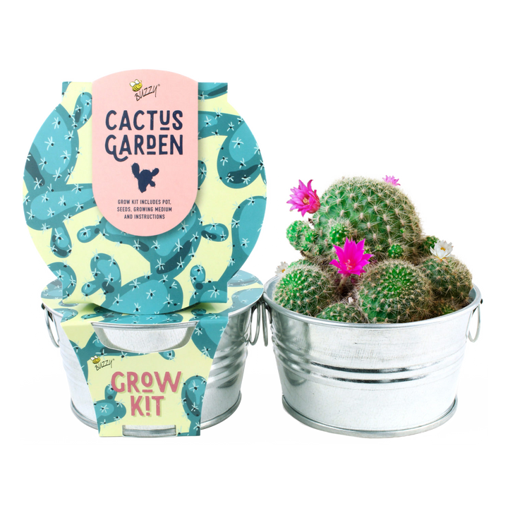 Mini Basin Grow Kit -Cactus