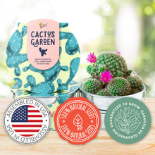 Load image into Gallery viewer, Mini Basin Grow Kit -Cactus

