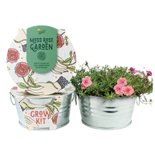 Load image into Gallery viewer, Mini Basin Grow Kit -Moss Rose
