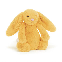 Load image into Gallery viewer, Jellycat Bashful Bunny Littles
