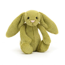Load image into Gallery viewer, Jellycat Bashful Bunny Littles
