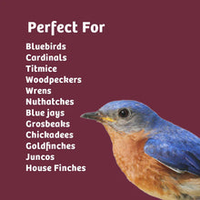 Load image into Gallery viewer, Bugs and Nuts No Melt Suet
