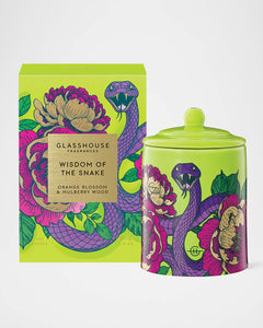 Glasshouse 13.4 oz. Candle -Wisdom of the Snake